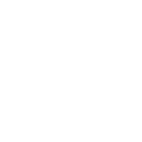 About Us - IFSA Network